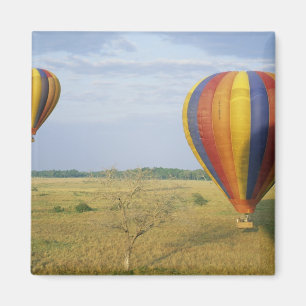 Imã África, Quênia, Reserva Nacional Masai Mara,