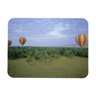 Ímã África, Quênia, Reserva Nacional Masai Mara, 2