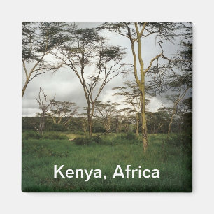Imã África Quênia terra selvagem