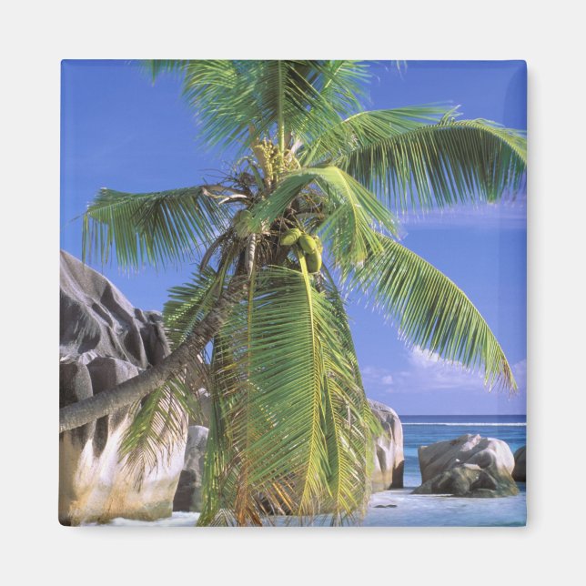 Imã África, Seychelles, Ilha La Digue. Granito 2 (Frente)