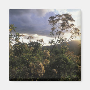 Imã África, Tanzânia, zona de conservação de Ngoro