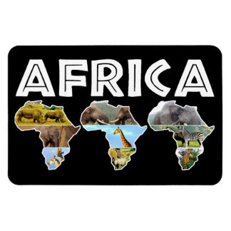 Ímã África, Terra Selvagem Continente, Trio Collage Ma