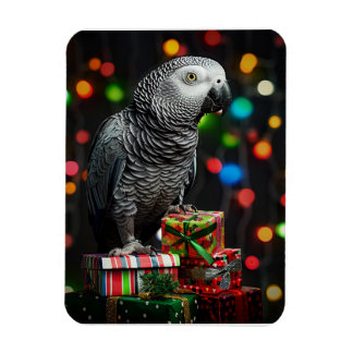 Ímã African Grey on Gifts — Festive Greeting Card