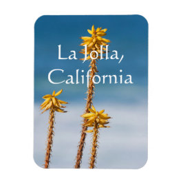 Ímã Agave perto do oceano La Jolla, Califórnia