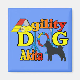 Imã Agilidade Akita