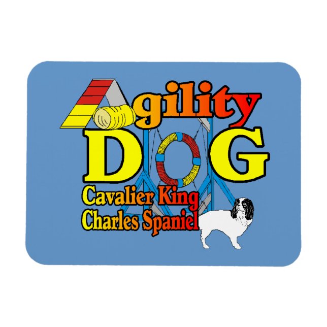 Ímã Agilidade do Cavalier King Charles Spaniel (Horizontal)