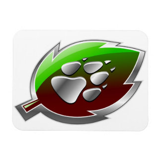 Ímã Aglomeração magnética do carro (pequena: 3"x4")