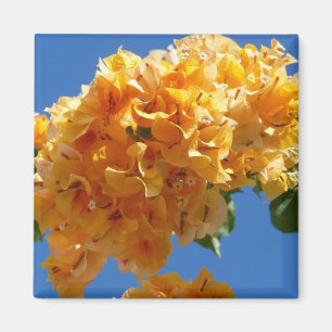 Imã Aglomerado Floral Tropical de Bougainvillea Dourad
