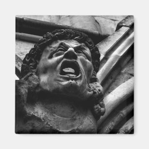 Imã Agonia do Biting Imps Gothic Gargoyle