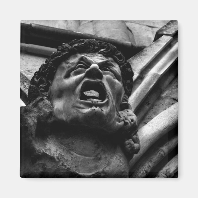 Imã Agonia do Biting Imps Gothic Gargoyle (Frente)