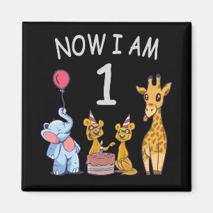 Imã Agora eu tenho 1 ano de idade 1º Aniversário no Zo
