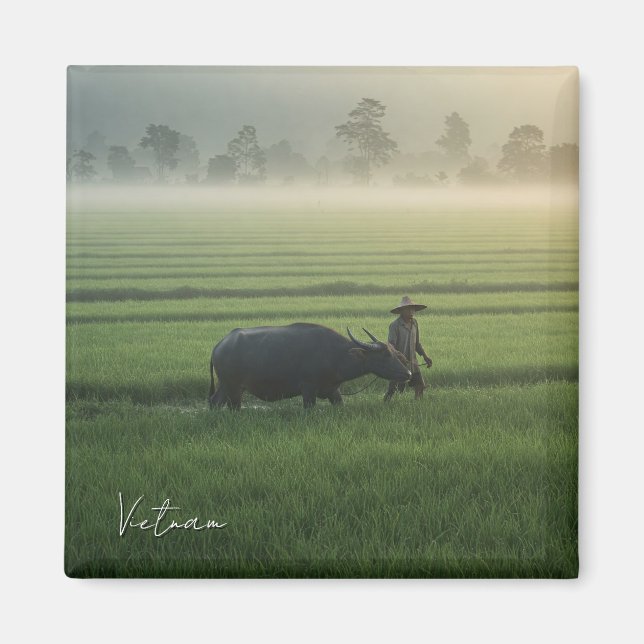 Imã Agricultor com Viagem do Vietnã Buffalo (Frente)