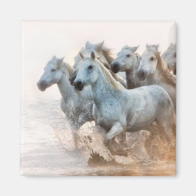 Imã Água do Mediterrâneo em Sunrise (Frente)