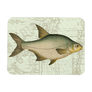 Ímã Água fresca Peixe no Mapa