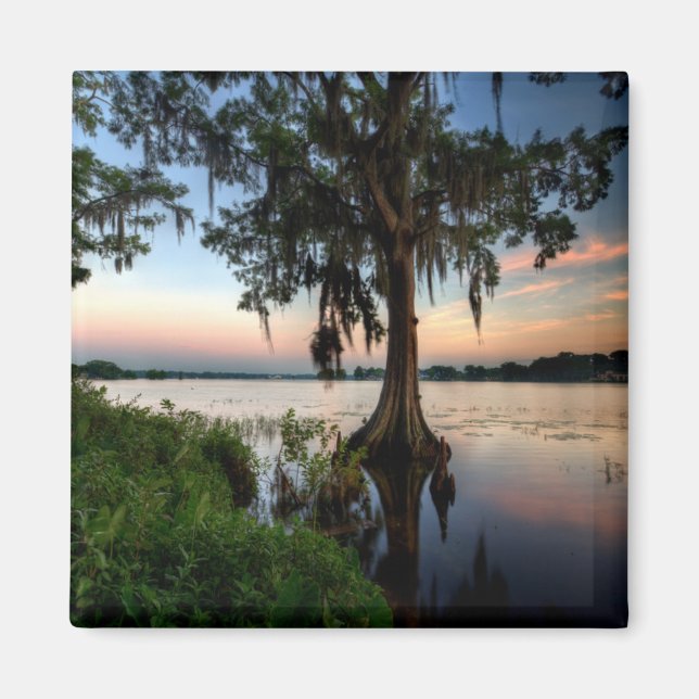 Imã Água | Kraft Azalea Park Maitland Florida (Frente)