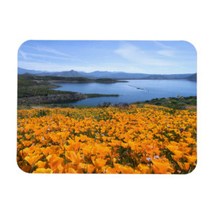 Ímã Água   Lago California Com Poppies Ouros