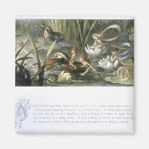 Imã Água-Lírios e fadas da água, ilustração de
