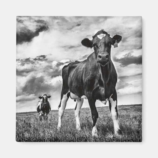 Imã Aguardando Recorte BW (Frente)