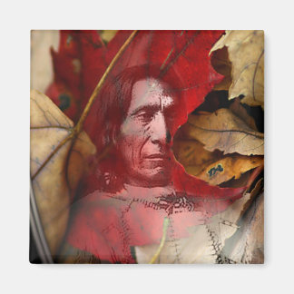 Imã aguardente de folha por gregory gallo