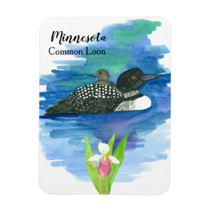 Ímã Aguarela comum do pássaro do mergulhão-do-norte