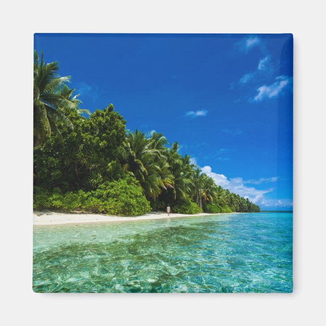 Imã Águas Azuis de uma Praia Tropical (Frente)