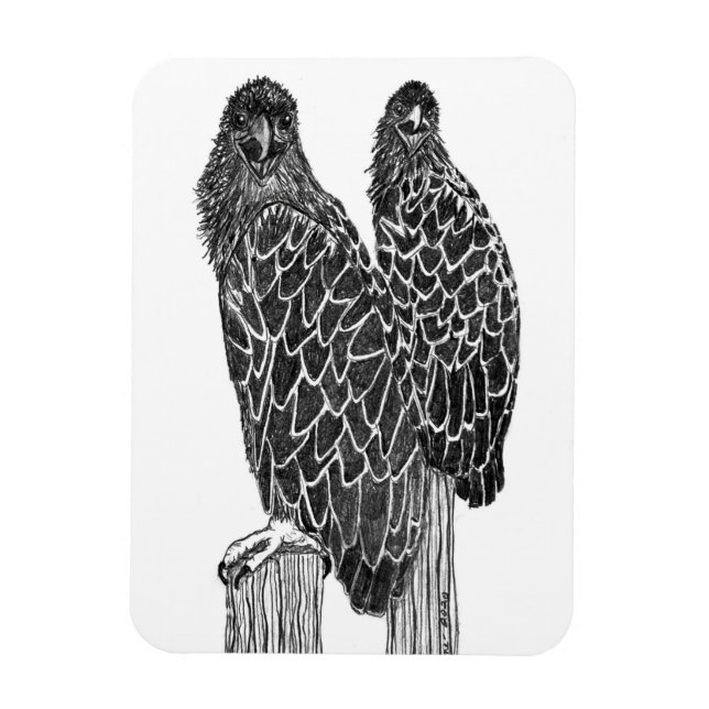 ÍMÃ ÁGUAS ESCASADAS SE DIVERTIRAM E PESCANDO NA ÁREA (Vertical)