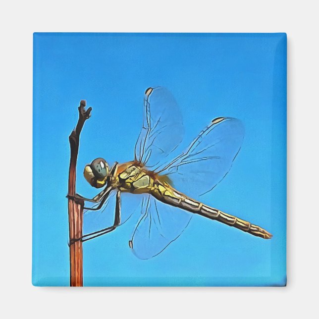 Imã Aguente Lá, Dragonfly Artística (Frente)