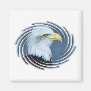 IMÃ ÁGUIA AMERICANA