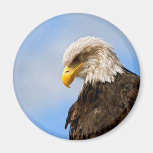 Imã Águia Americana