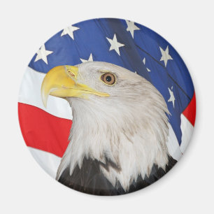 Imã Águia americana patriótica e bandeira americana