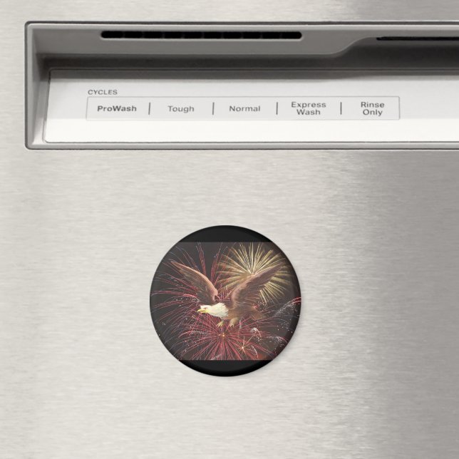 Imã Águia e fogos de artifício (In Situ (Dishwasher))