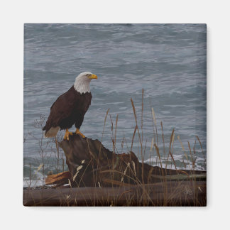 Imã Águia em South Beach