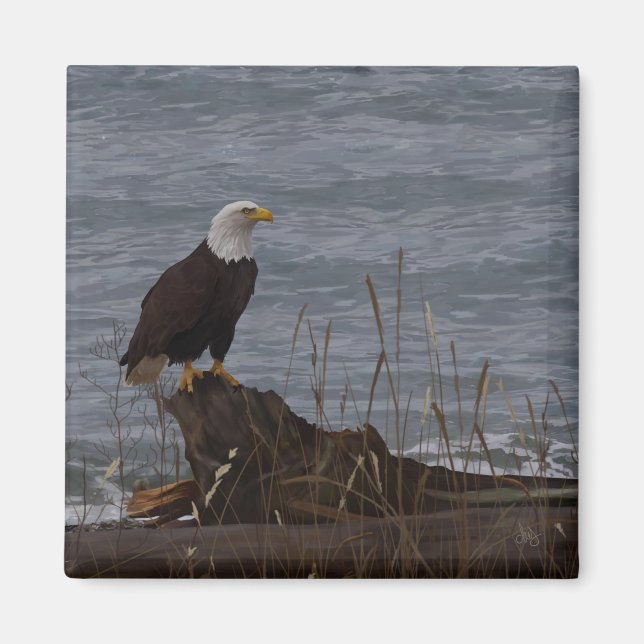 Imã Águia em South Beach (Frente)