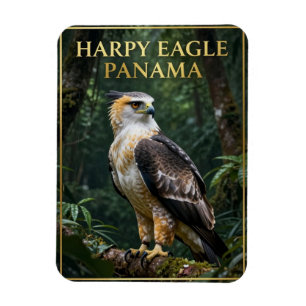 Ímã 🦅 Águia Harpia Panamá Pássaro da Floresta Tropica