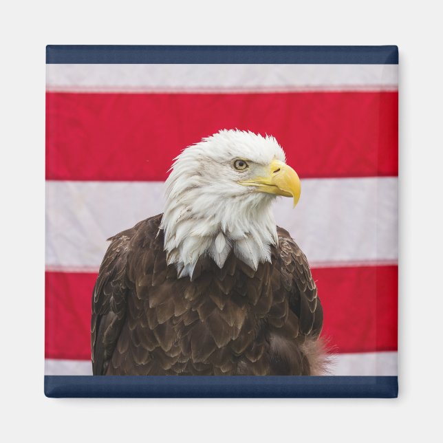 Imã Águia Patriótica (Frente)