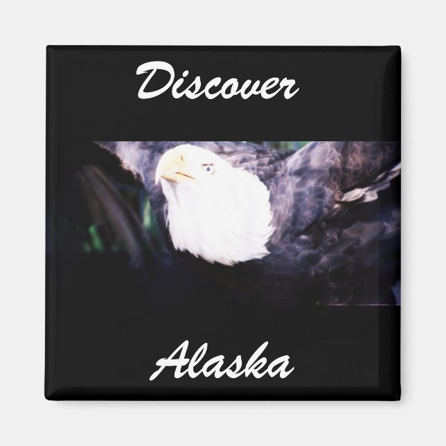 Imã Águia Voadora (Frente)