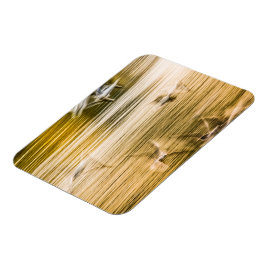 Ímã Agulhas voadoras - abstrato