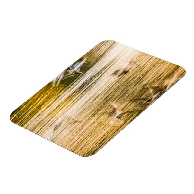 Ímã Agulhas voadoras - abstrato (Left Side)