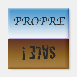 Imã Aimant à lave-vaisselle