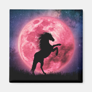 Imã Aimant Le cheval et la lune rosa