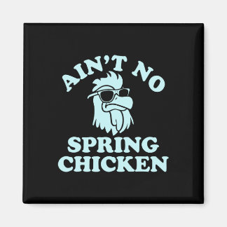 Imã Ain't No Spring Chicken Funny Design