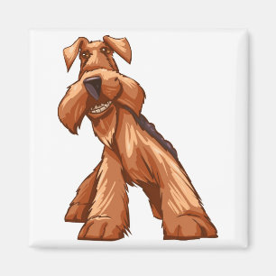 Imã airedale