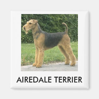 Imã Airedale Terrier Magnet