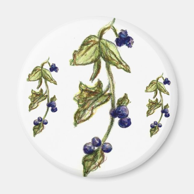 Imã Airelas Azuis Em Magneta De Vinha (Frente)