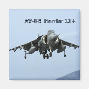 IMÃ AIRPLANE-MAGNET