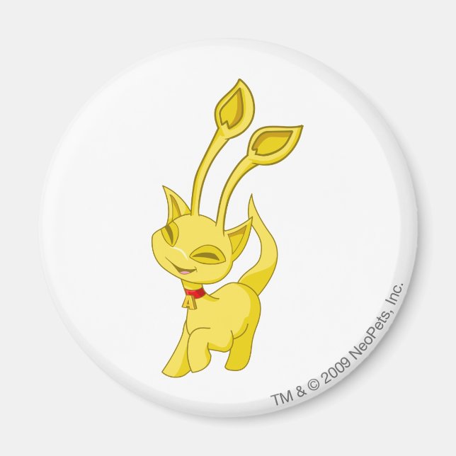 Imã Aisha Dourada (Frente)