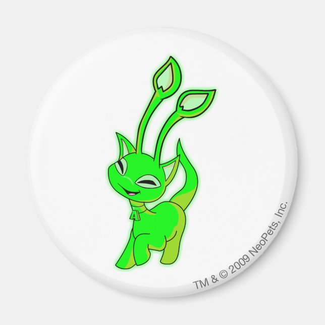 Imã Aisha Glowe (Frente)