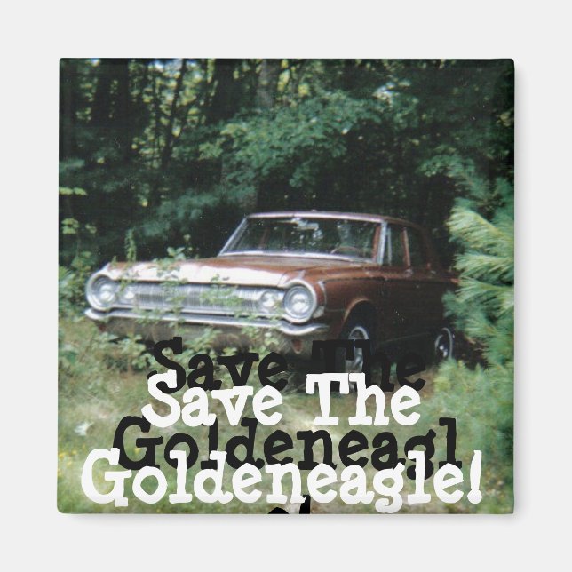 Imã Ajudei A Salvar A Águia De Goldenha Da Velha Praia (Frente)