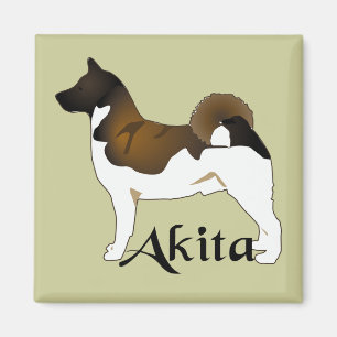 Imã Akita, detalhado