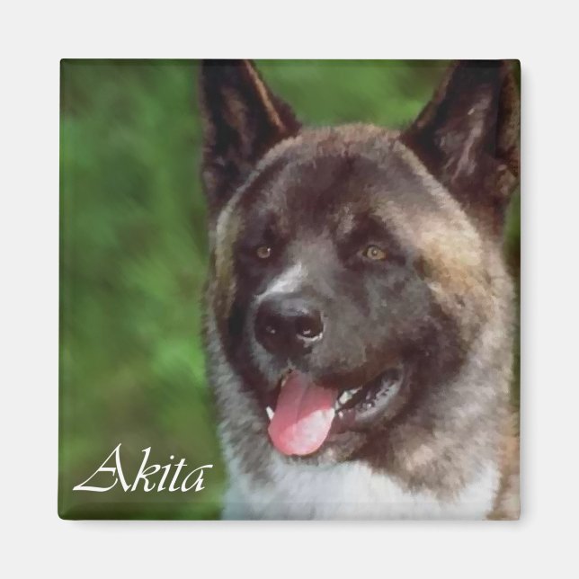Imã Akita Gifts (Frente)